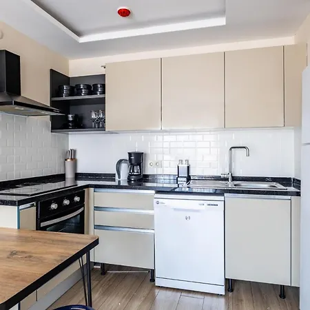 Διαμέρισμα Cozy And Central Flat In Kagithane Κωνσταντινούπολη